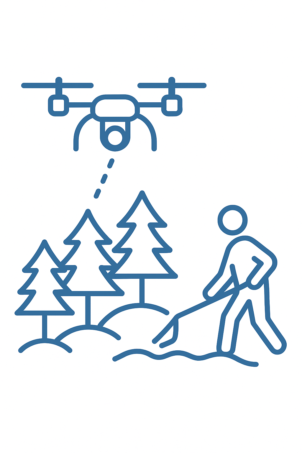 Forest canopy captured by drone